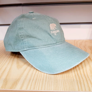 Adult Okanagan BC Bear Embroidered Cap Mint Green