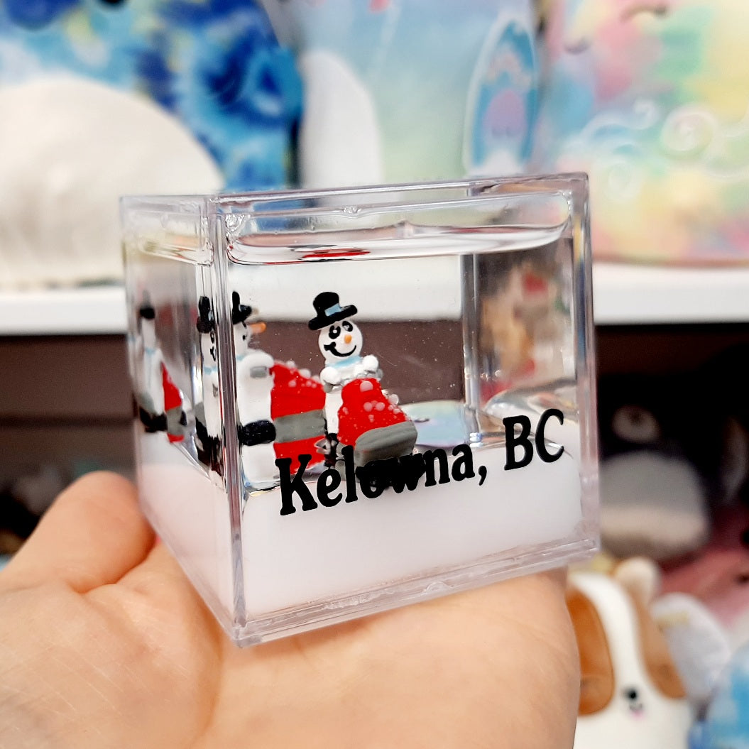Water Cube Snowman Kelowna BC