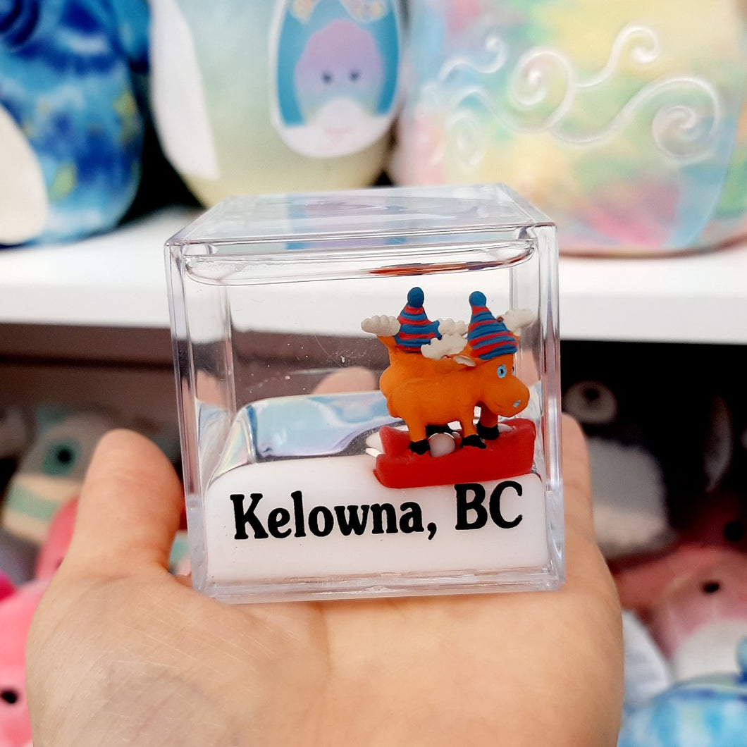 Water Cube Moose Kelowna BC