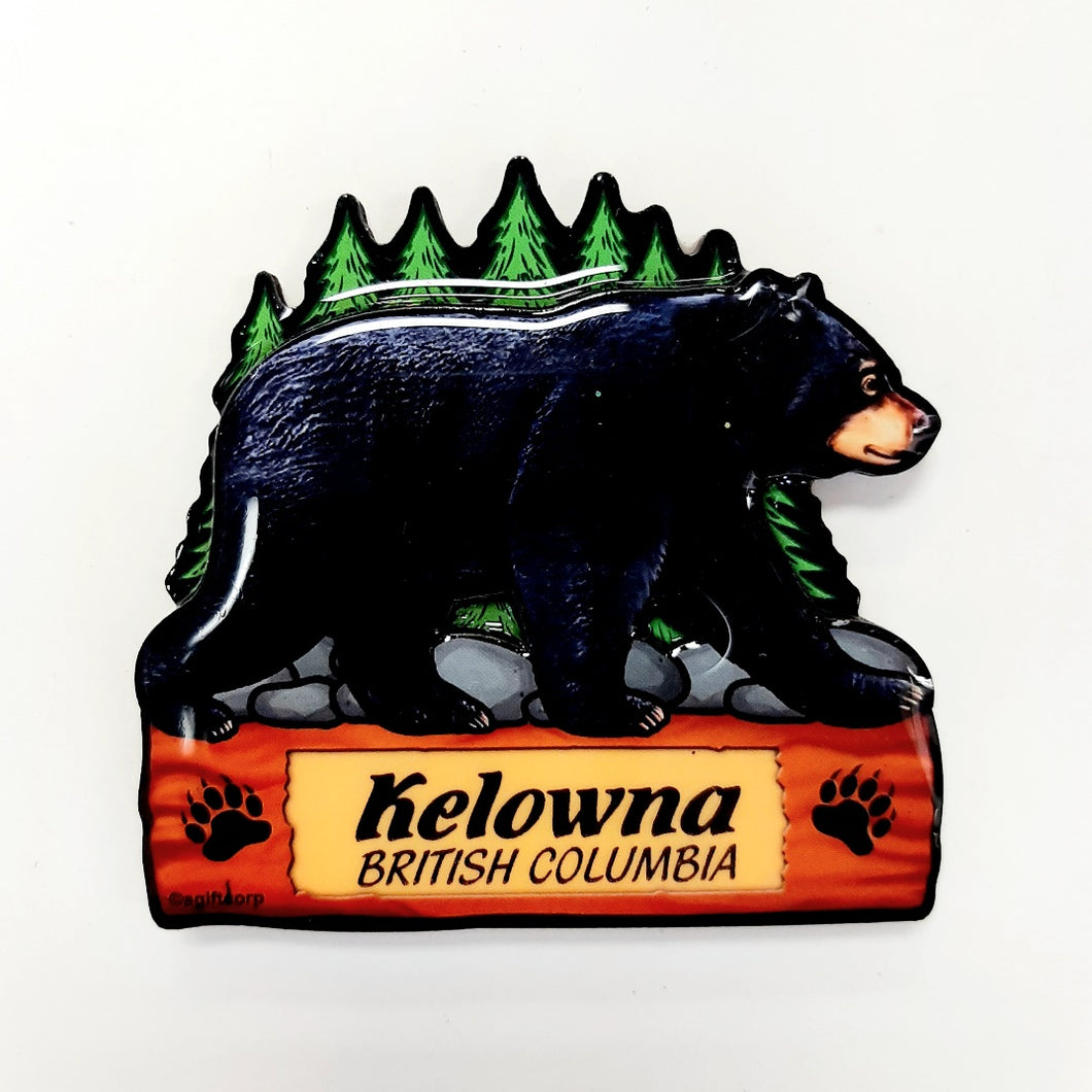 Bear 3D magnet Kelowna British Columbia