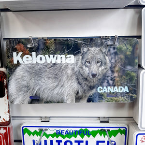Kelowna Wolf Picture Tin License Plate