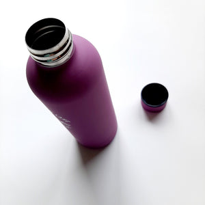 Light Weight  Insulated Stainless Steel Water Bottle Purple Ogopogo